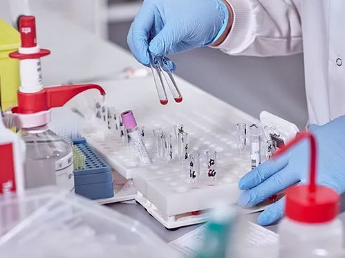 酒店洗護用品 在“洗牌、淘汰、升級”中重塑行業標準